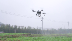 防寒抗凍模式！“浙”里各地為農(nóng)做物“