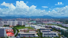 <b>黑紫色玉米、棕色秋葵……你見過的、沒</b>