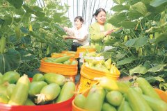 良田沃野送春景——全省春耕春管一線