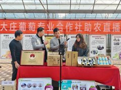 淮北杜集區(qū)：“國企聯(lián)村”激活現(xiàn)代農(nóng)業(yè)