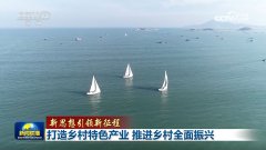 【新思惟引領新征程】打制村落特色財產