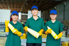 高質(zhì)量成長丨小特產(chǎn)變身大財產(chǎn) 集群化成